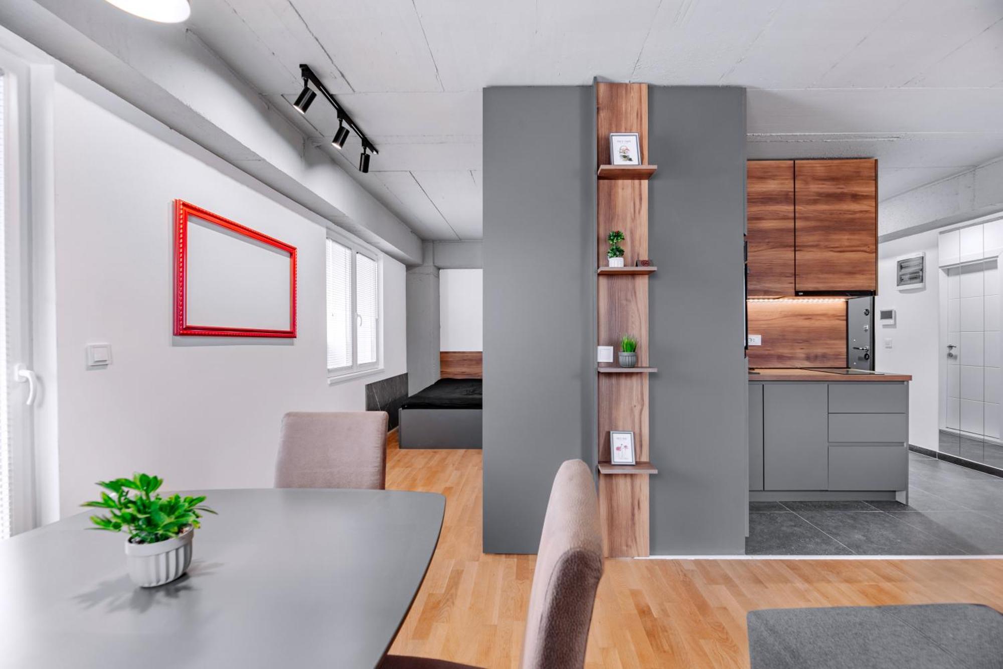 Luxury Apartment Iva VI 斯科普里 外观 照片